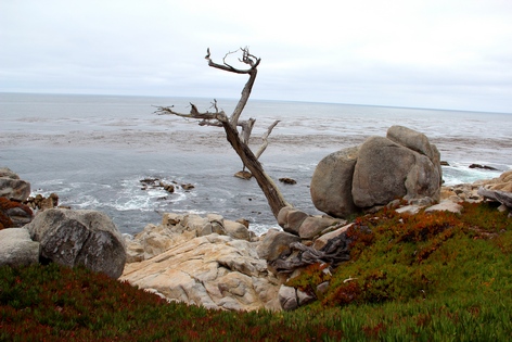 ��������� ����������